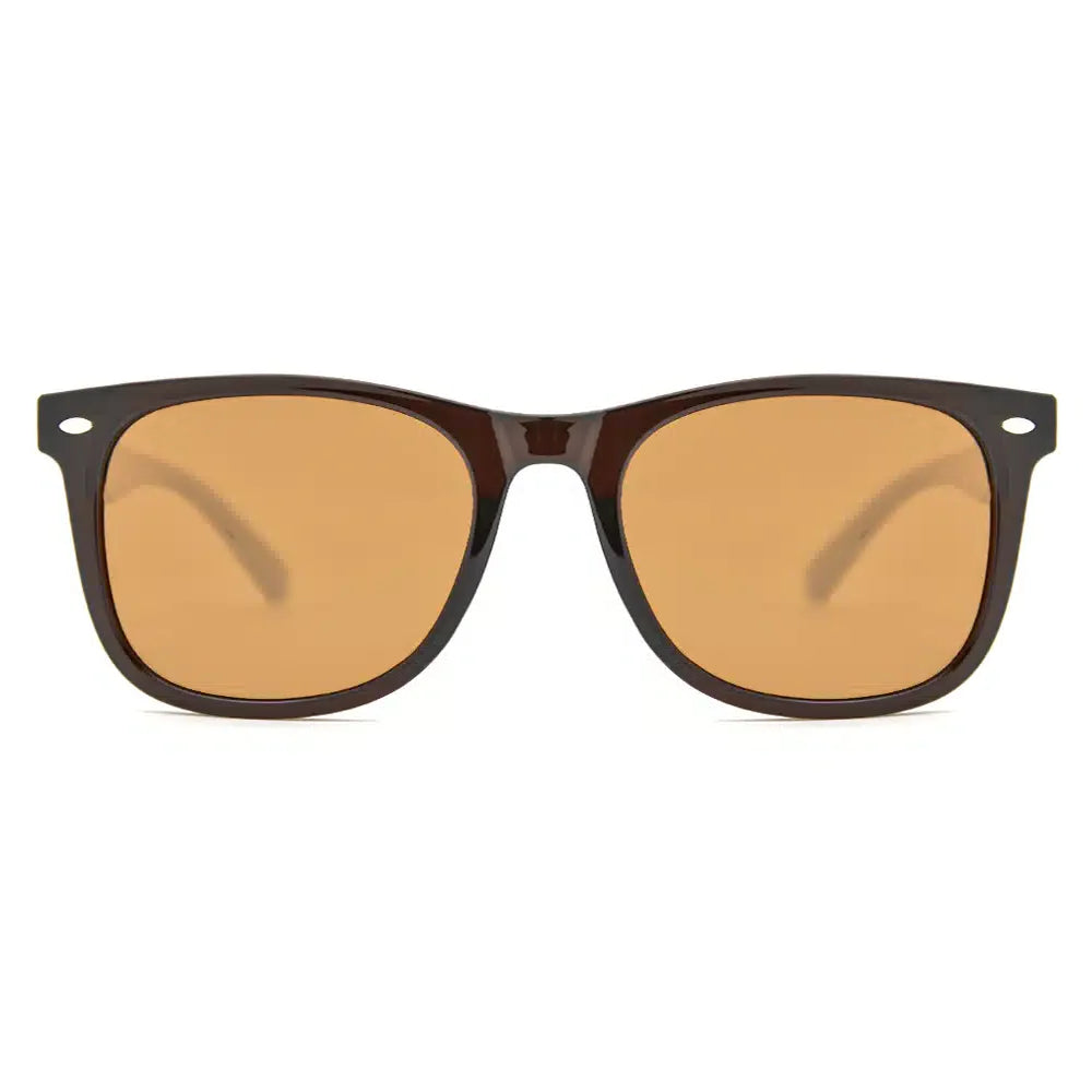 Polarized Sunglasses 5901