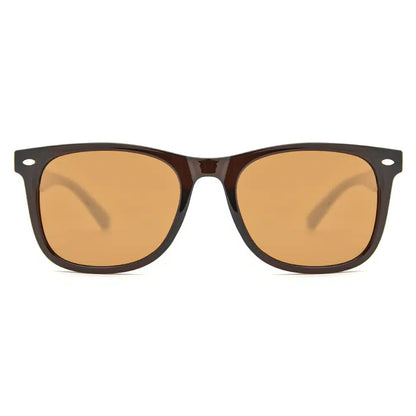 Polarized Sunglasses 5901
