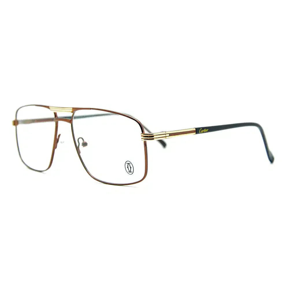 Aviator Glasses 5710