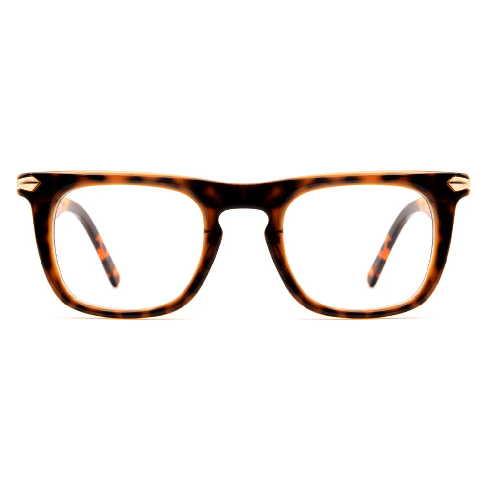 Premium Glasses 6793
