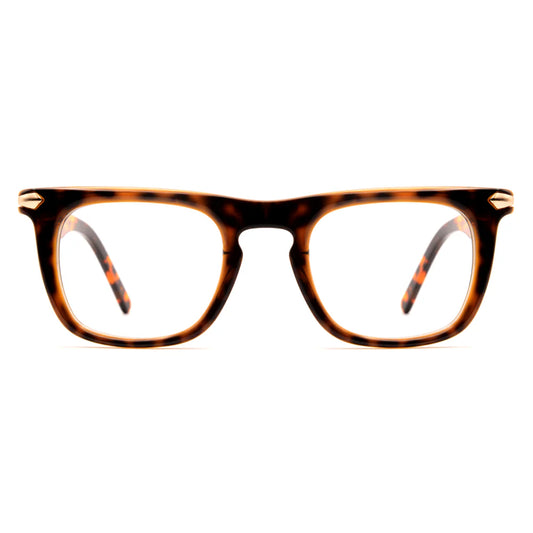 Premium Glasses 6793