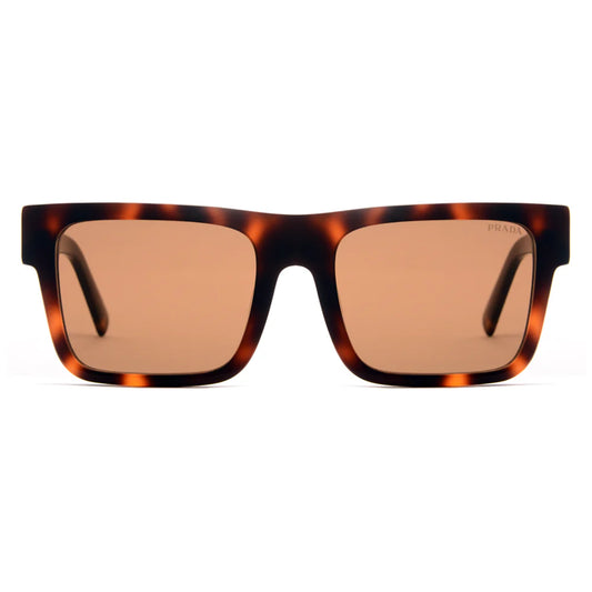 Premium Sunglasses 6660
