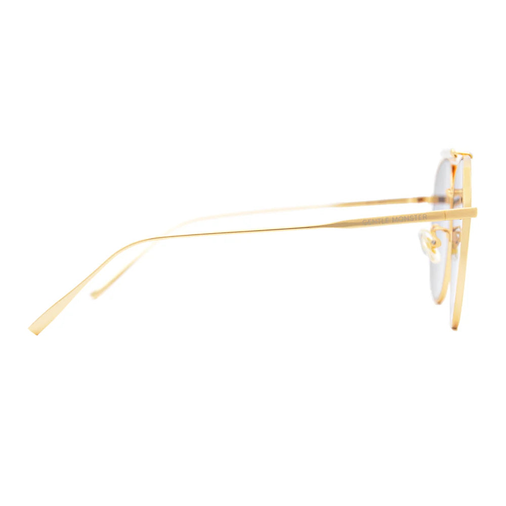 Premium Sunglasses 5503