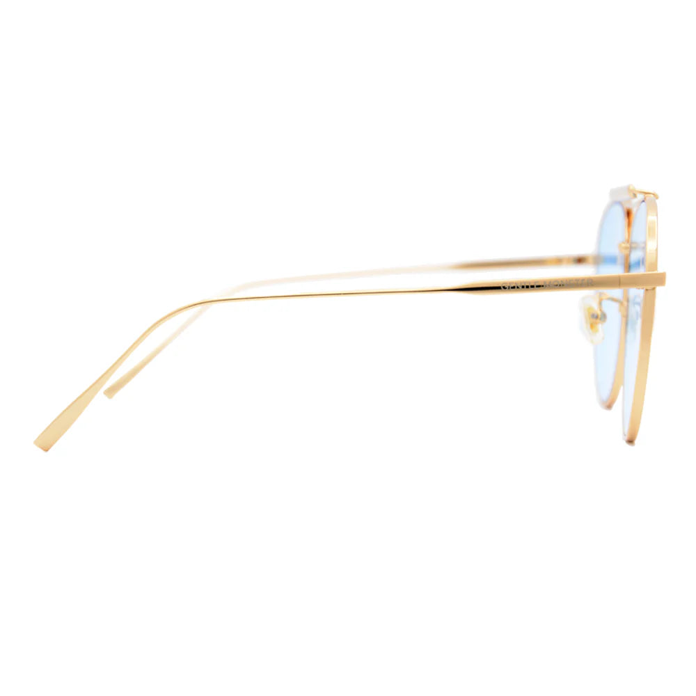 Premium Sunglasses 5505