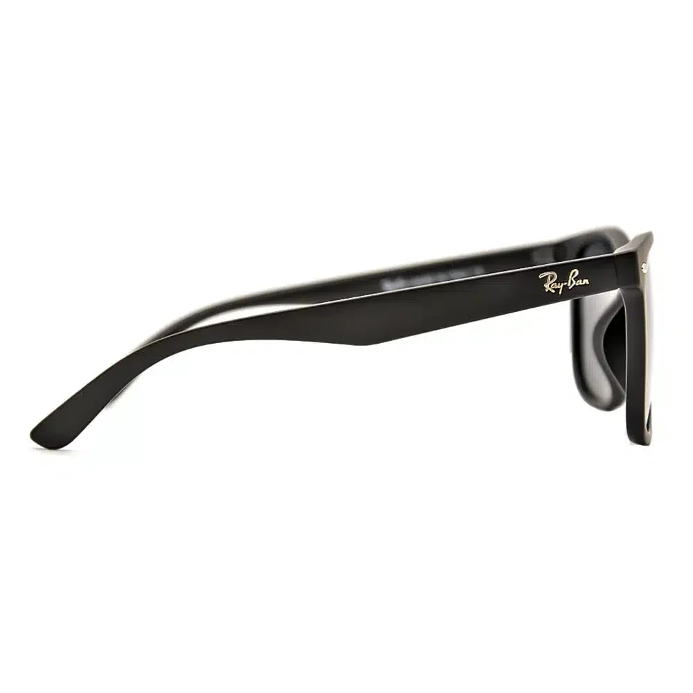 Polarized Sunglasses 5889