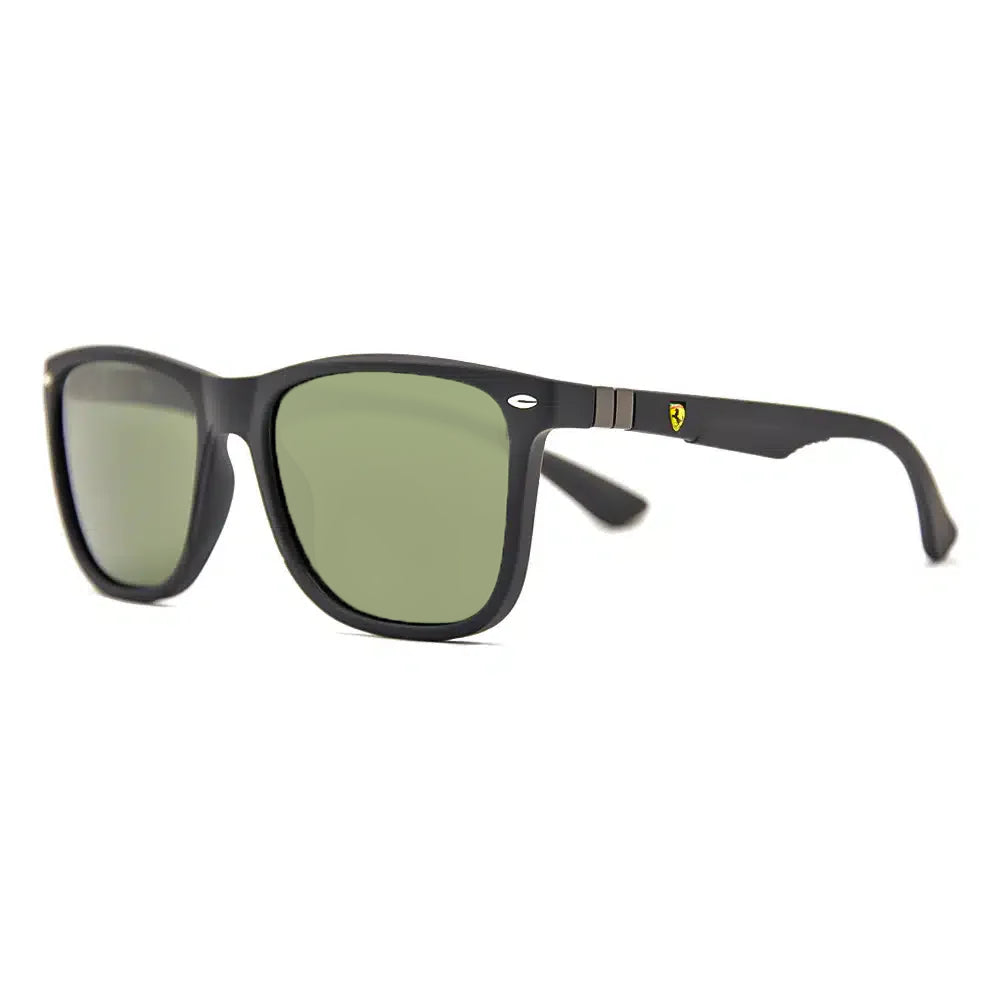 Polarized Sunglasses 5895