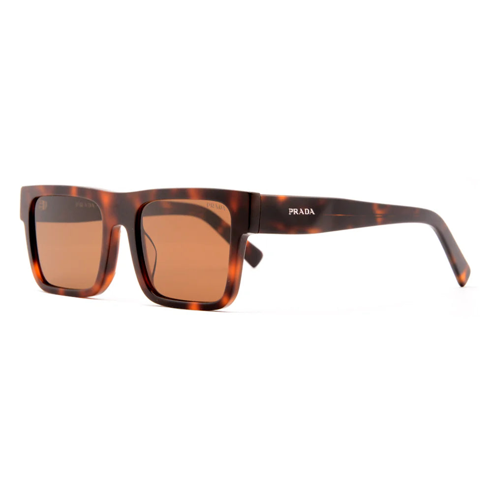 Premium Sunglasses 6660